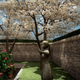 Illustration for article titled Sonys New PS3...Gardening Game